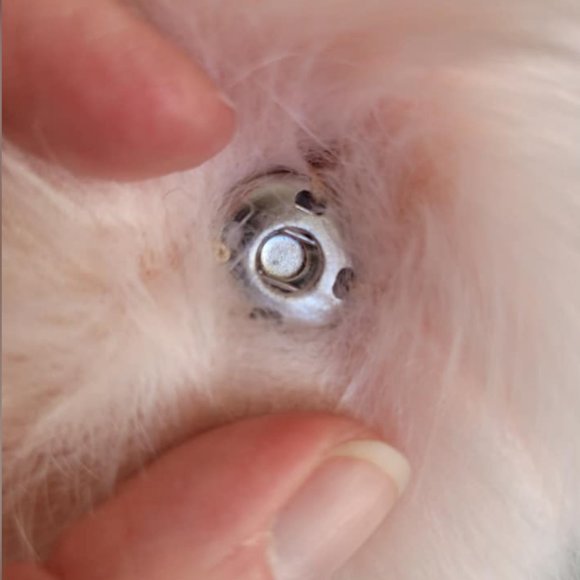 Pink Faux Fox Fur Snap-on POM POM for Toques. LARGE LUXURY 4"+ size - Picture 4 of 7